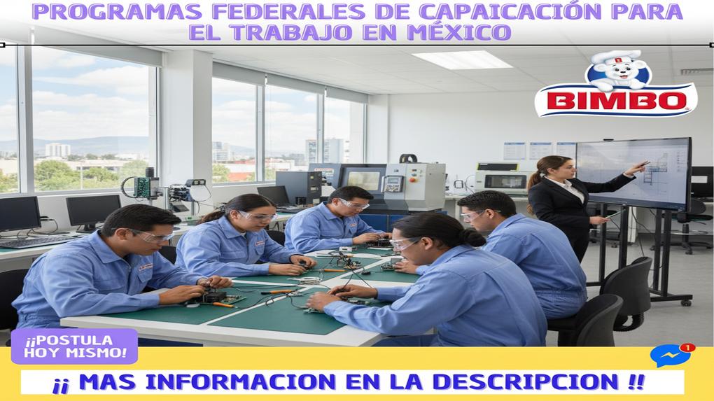 Programas federales de capacitación para el trabajo en México