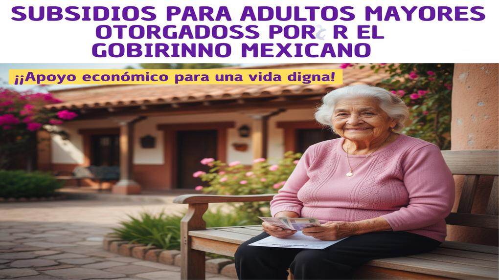 Subsidios para adultos mayores otorgados por el gobierno mexicano